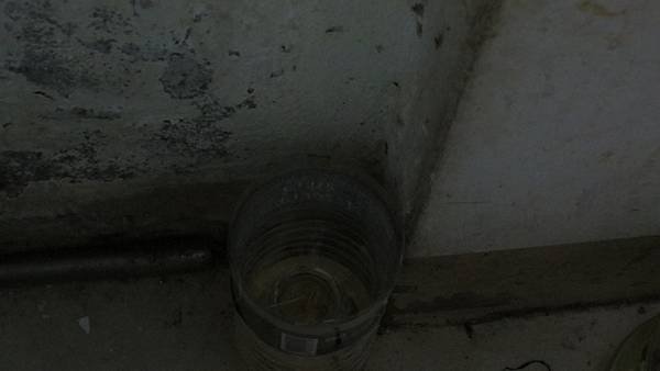 環保捕蚊器DIY (4).jpg