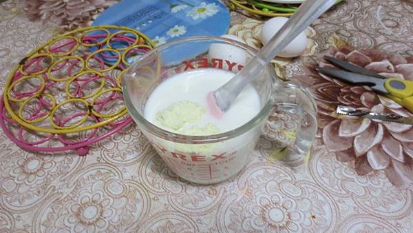 鮮奶酪DIY