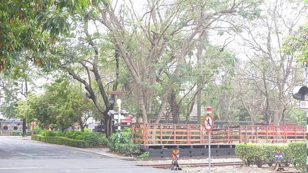 阿里山鐵路車庫園區一遊