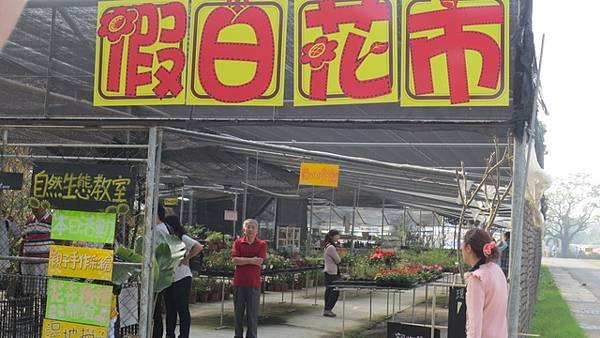 橋頭糖廠五分車一遊  (6).jpg
