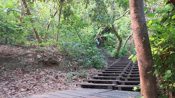 柴山龍巖冽泉一遊  (30).jpg