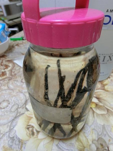 香草精DIY  (9).jpg