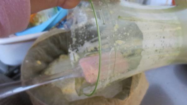 豆漿DIY (14).jpg
