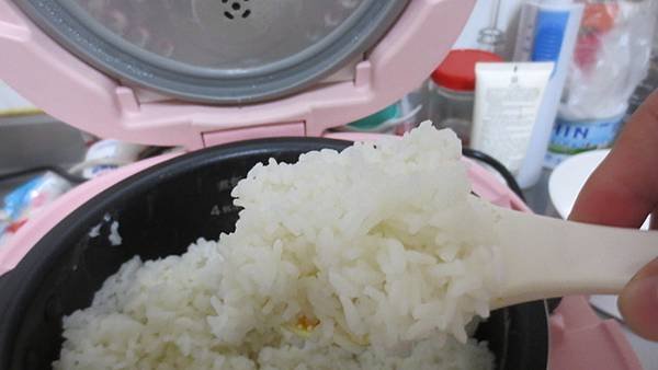 九楊  PINK 電子鍋快煮壺 (21).jpg