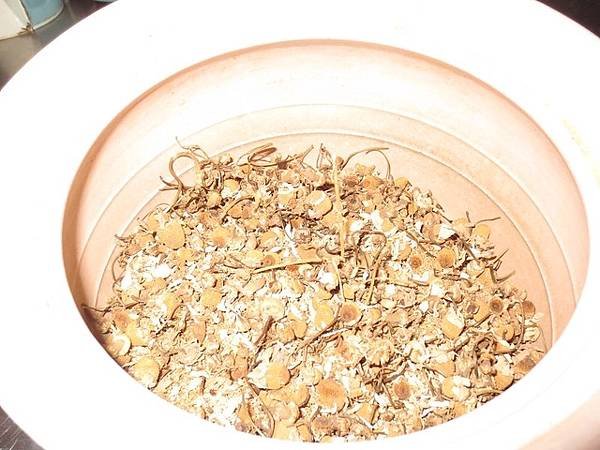 提煉洋甘菊花水(2).jpg