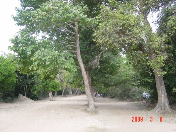 DSC05846.JPG