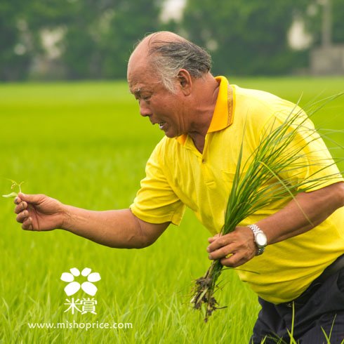 洪壯健 Jan伯看金孫 (3).jpg