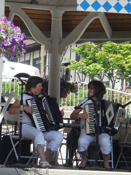 Accordian Festival