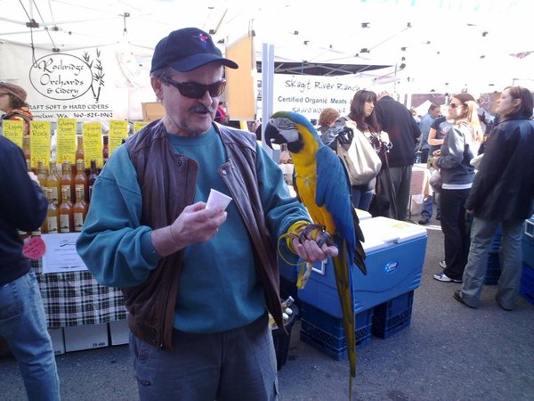 parrot drinks apple juice