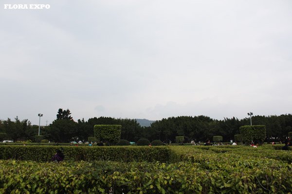 照片 040.jpg