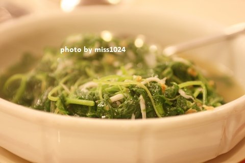 IMG_3300.JPG