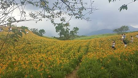 花蓮旅遊景點推薦 金針山 - 六十石山