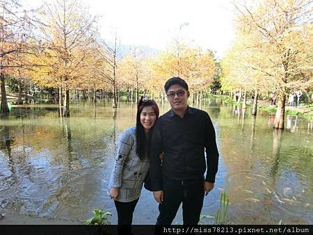 花蓮。瑞穗牧場+超美落羽松秘境風景｜花蓮好玩景點推薦、花蓮親子遊樂地點推薦、花蓮一日遊、花蓮三天兩夜推薦必去地點♥食尚期貨小咪遊花蓮