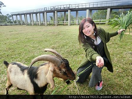 台東好玩新景點分享台東美食台東原生應用植物園鐵花村音樂聚落藍蜻蜓炸雞阿鋐炸雞台東3天兩夜行程推薦