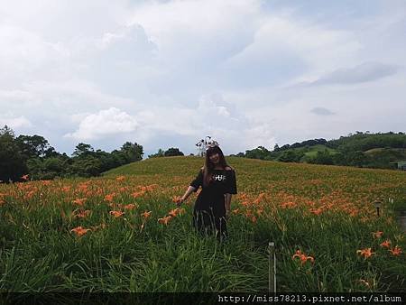 2018金針花海季開跑拉!!【美美金針山花就在 花蓮赤科山 林家園】賞金針 必吃炸金針 交通資訊