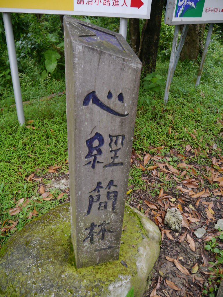 P1020519
