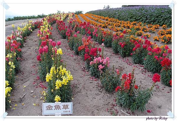 P7314651