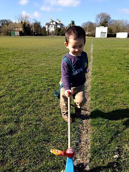 Darcy walking with stick 3