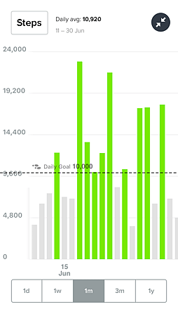 Fitbit Steps 2.PNG