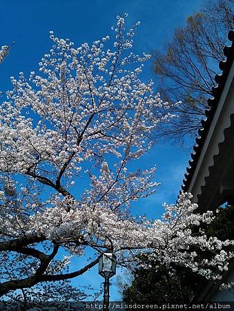 IMAG4225