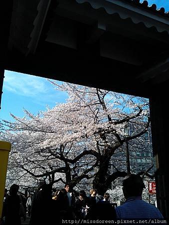 IMAG4235