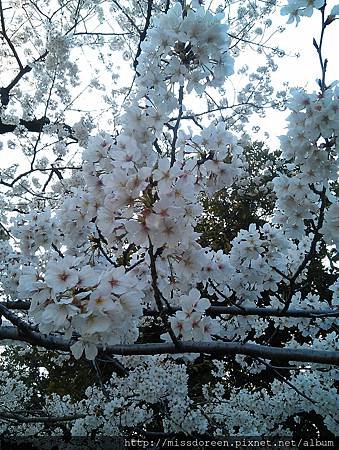 IMAG4237