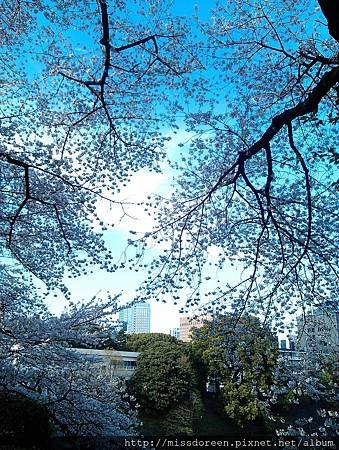 IMAG4245