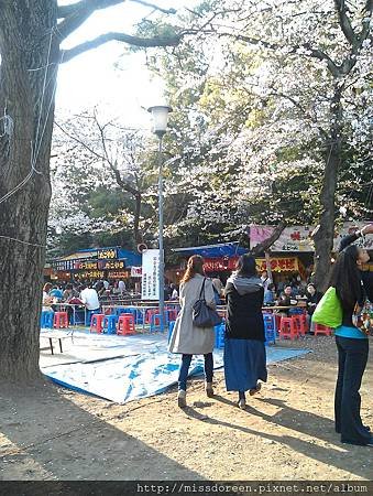 IMAG4265