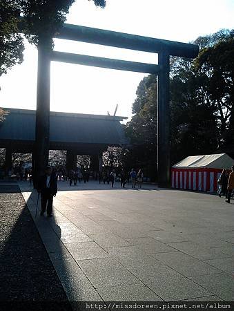 IMAG4266