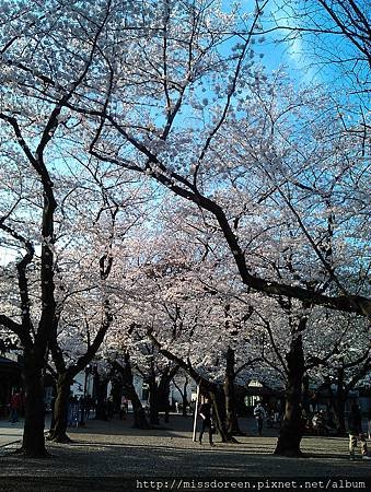 IMAG4271