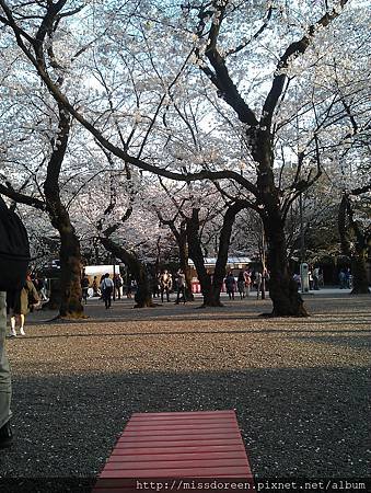 IMAG4280