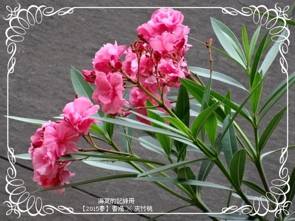 tn_DSC00690.JPG