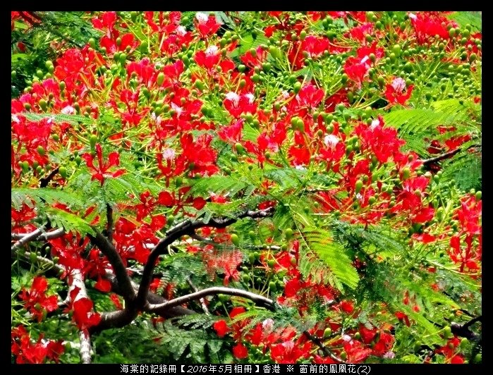 tn_DSC02929.JPG