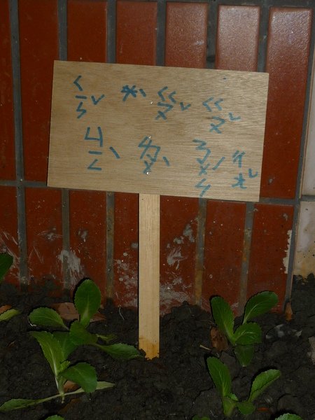 P1010230.JPG