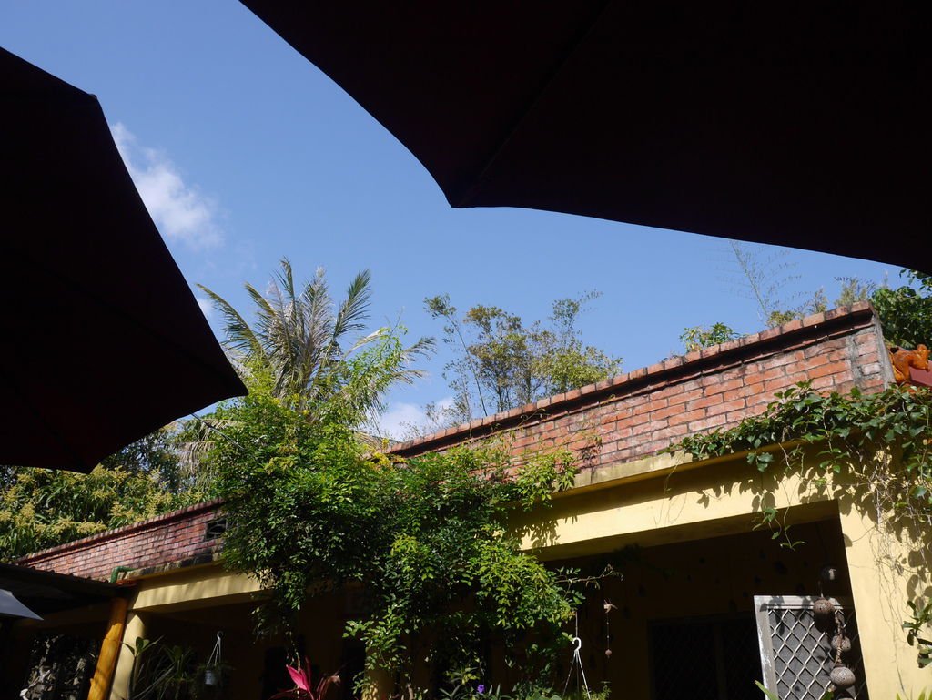 P1110629.JPG