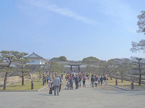 DSCN7806