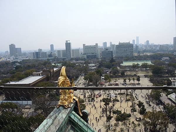 DSCN7822