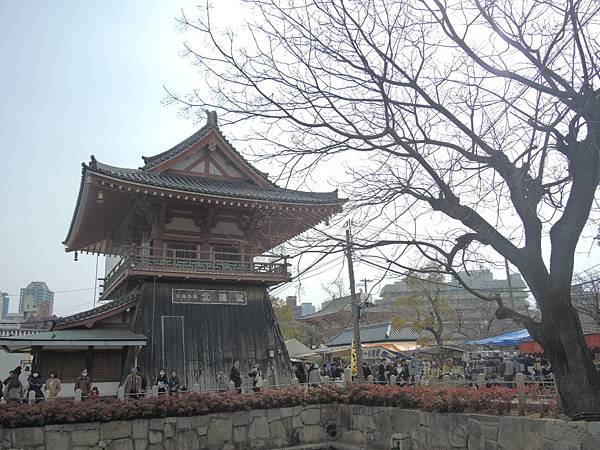 DSCN7839
