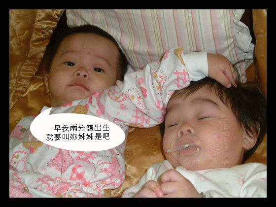 姊姊揍妹妹.gif