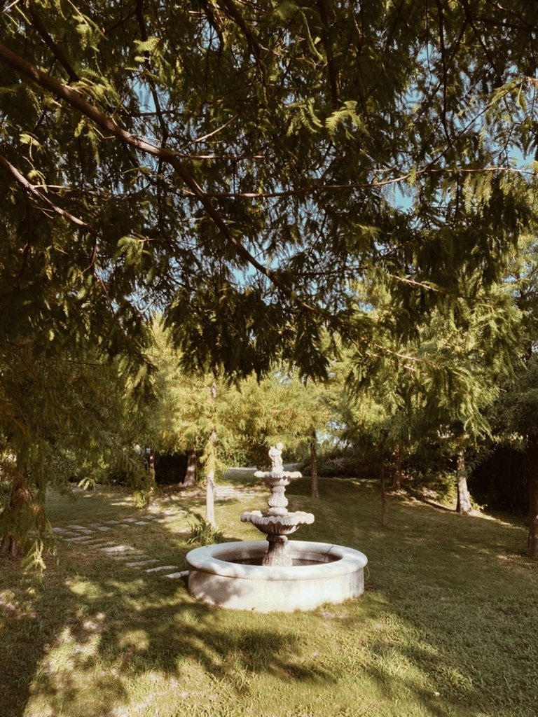 S__12156994.jpg