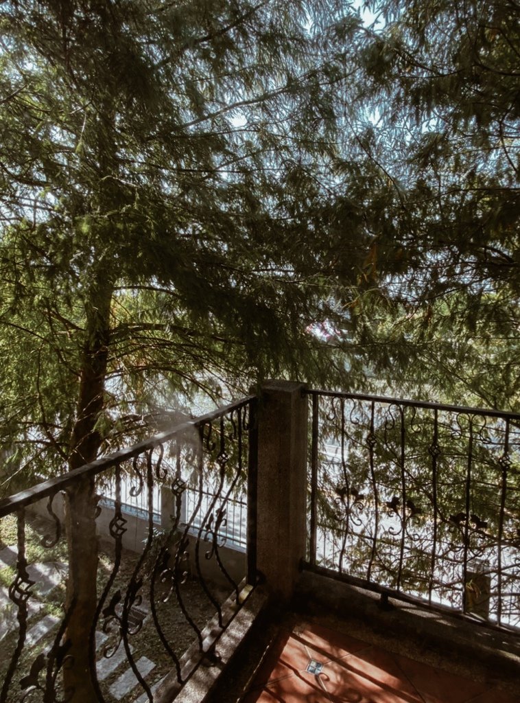S__12157016.jpg