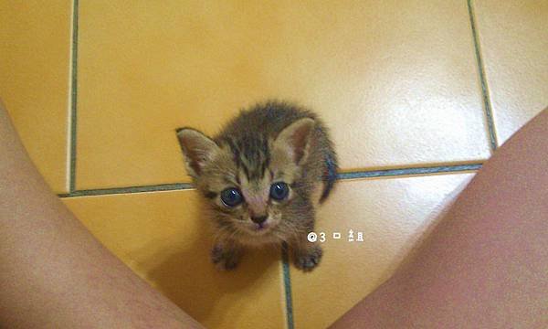 IMAG0615