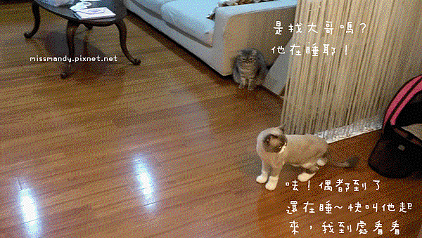 IMAG4114.gif