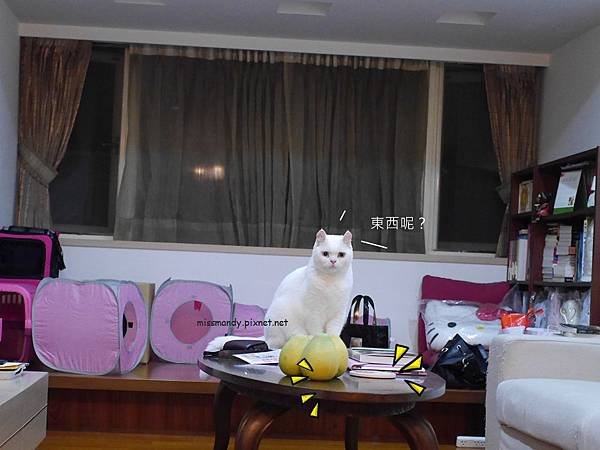 2013-09-16 23.13.13.jpg