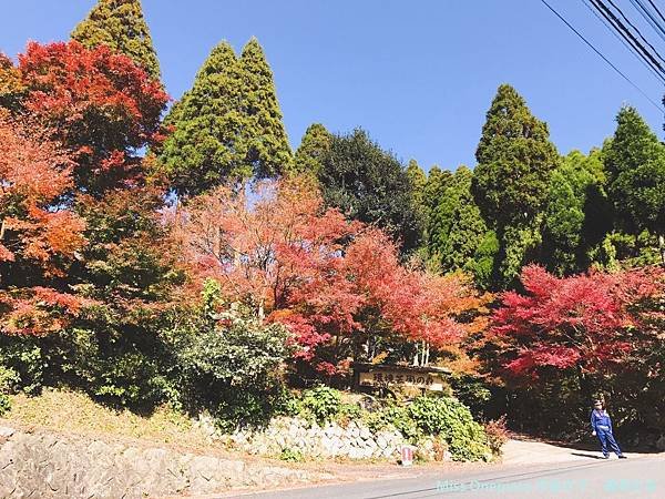 環境藝術.雷山_181111_0111.jpg