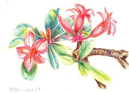 yyh_120217.jpg