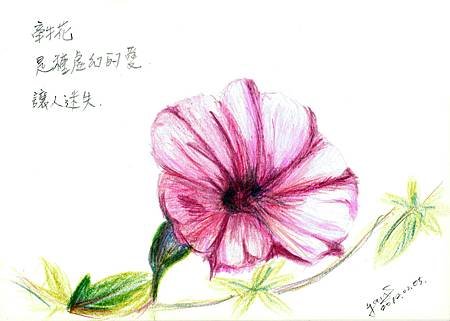 yyh_F120215
