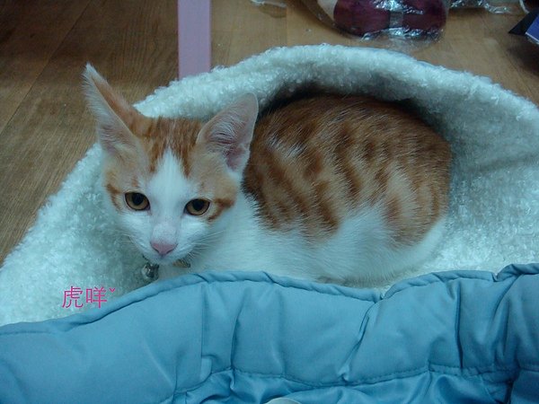 DSC03959 拷貝.JPG