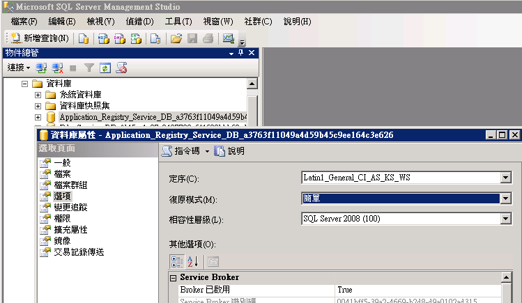 MSSQL_Option_simple