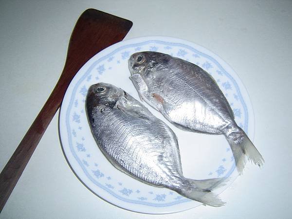 DSC03784.JPG